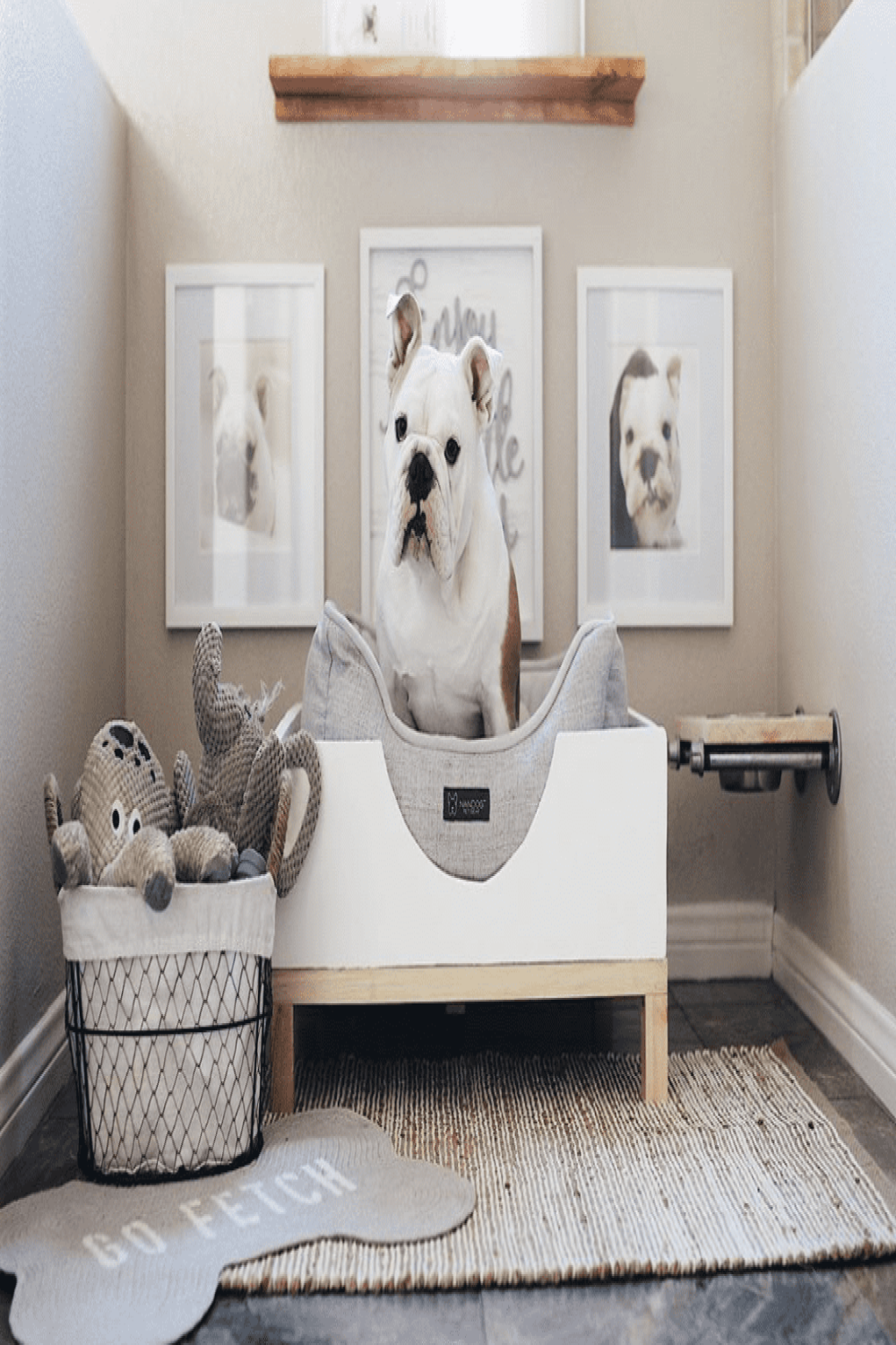 DIY Dog Bed Ideas (To Build a Comfy Bed for Your Pet