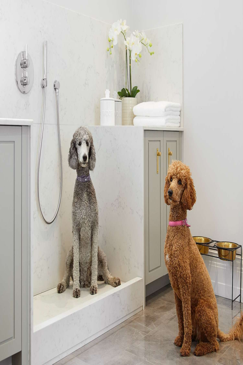 Dog Room Ideas You and Your Best Friend Will Love