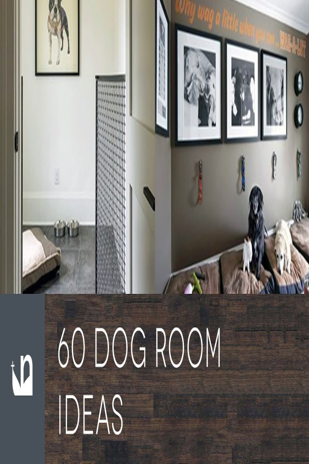 Dog Room Ideas